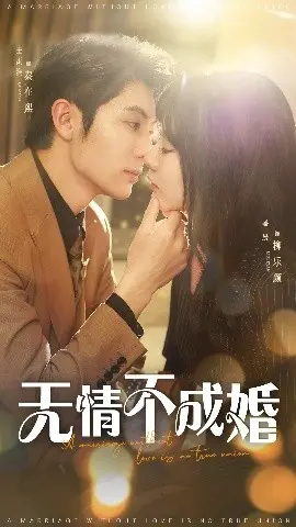 无情不成婚 海报