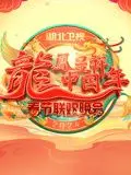 《2024湖北春晚》：明星生活秀？不如说是一场“千年守护”的奇葩表情包大赏！